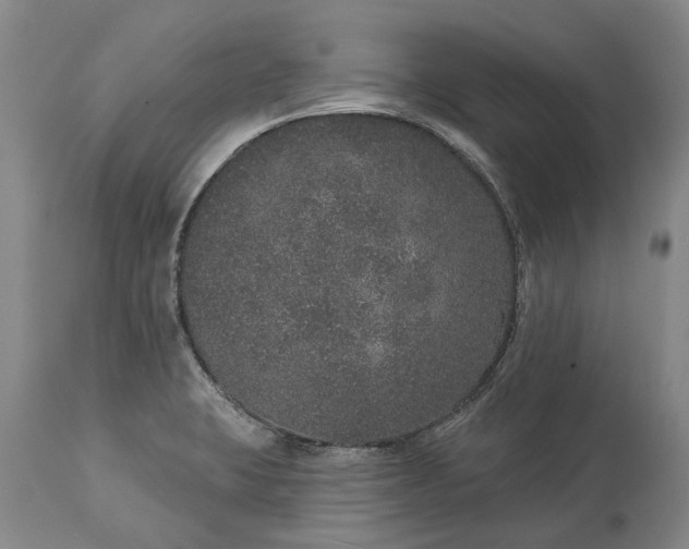 X0000113631423200910021841