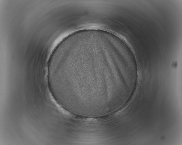 X0000113631424200910021841