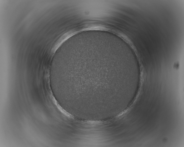 X0000113631425200910021841