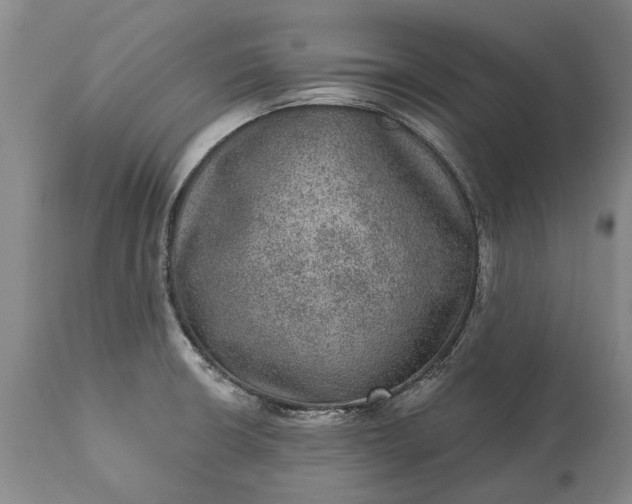 X0000113631426200910021841