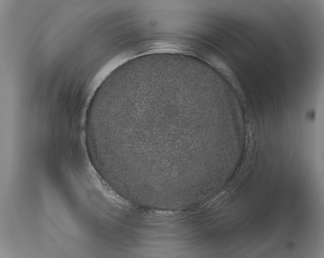 X0000113631427200910021841