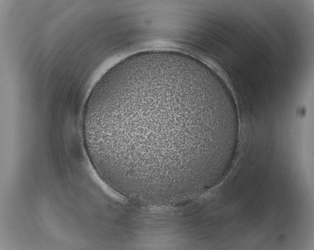 X0000113631429200910021841