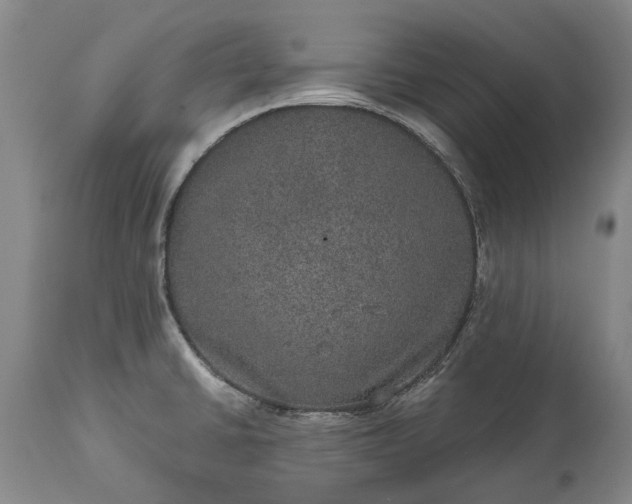 X0000113631430200910021841