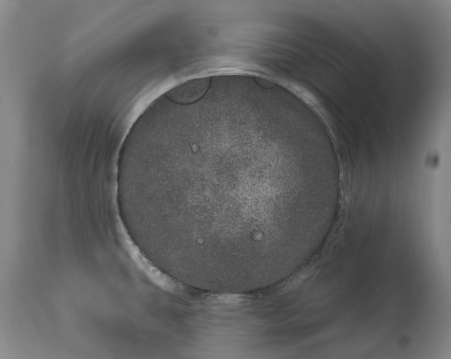 X0000113631431200910021841