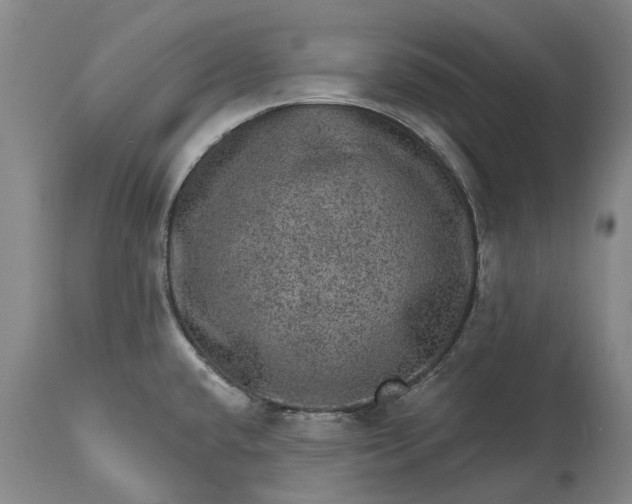 X0000113631432200910021842