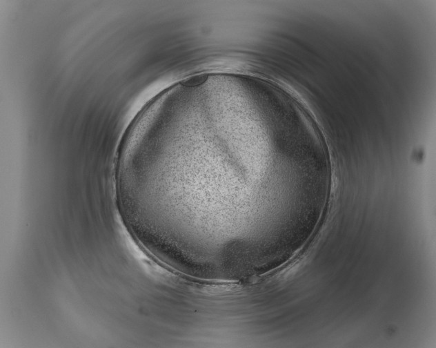 X0000113631434200910021842