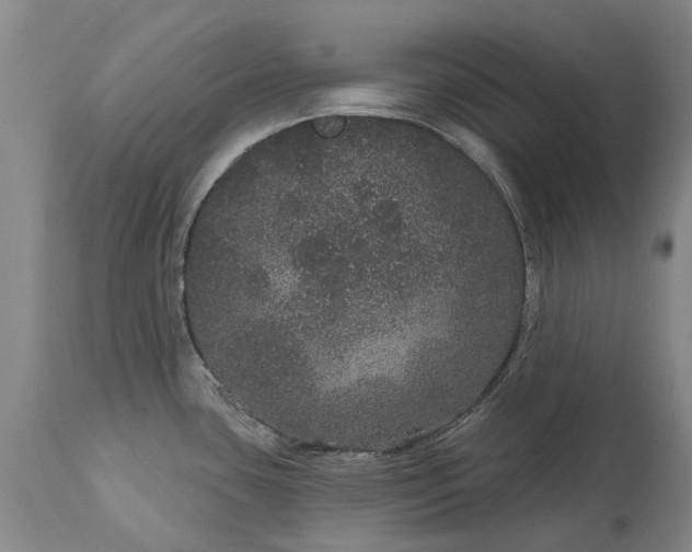 X0000113631435200910021842