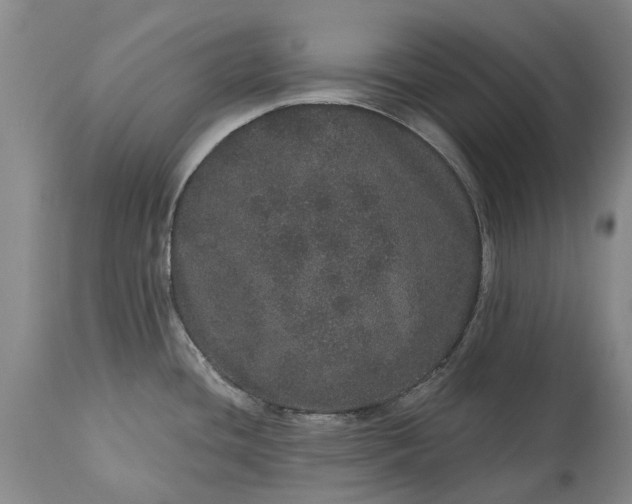 X0000113631436200910021842