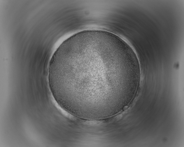 X0000113631437200910021842