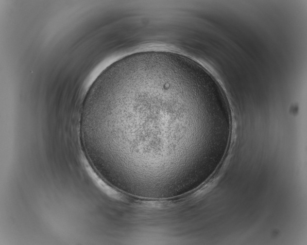 X0000113631438200910021842