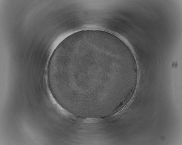 X0000113631440200910021842