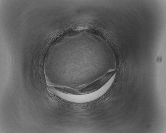 X0000113631441200910021841