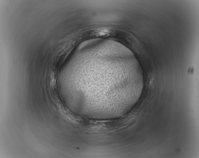 X0000113631442200910021841