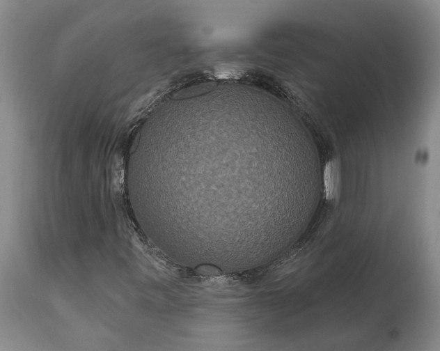 X0000113631443200910021841