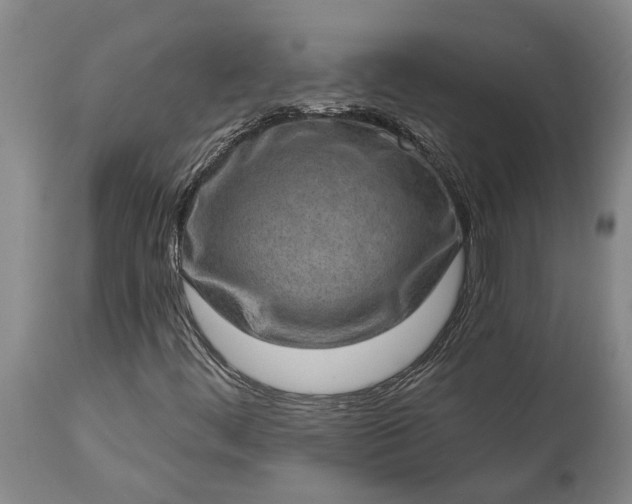 X0000113631444200910021841
