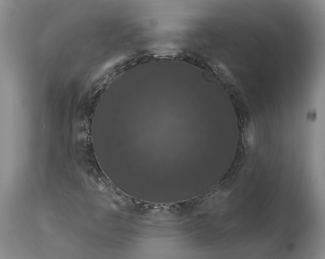 X0000113631445200910021841