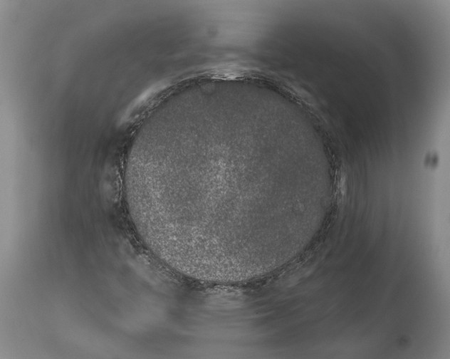 X0000113631446200910021841