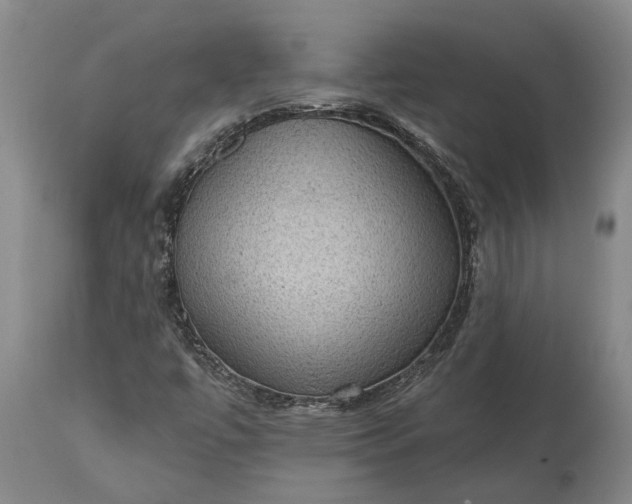 X0000113631447200910021841