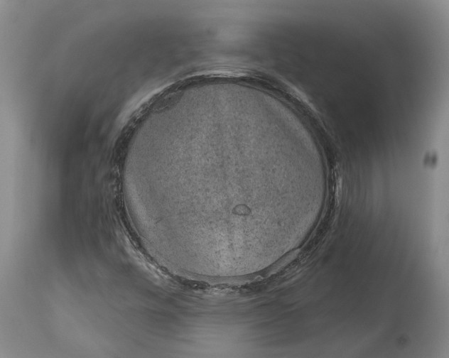 X0000113631448200910021841