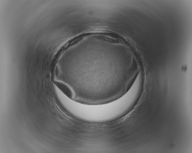 X0000113631449200910021841
