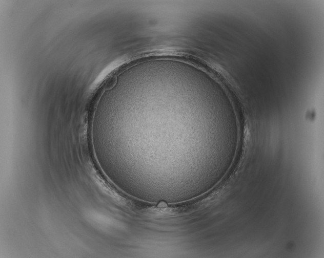 X0000113631450200910021841