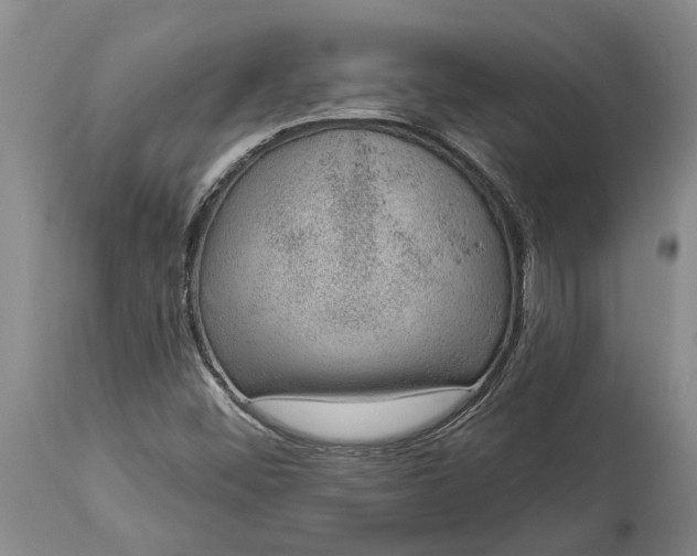 X0000113631452200910021841