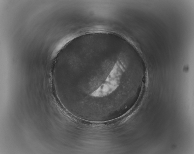 X0000113631453200910021841