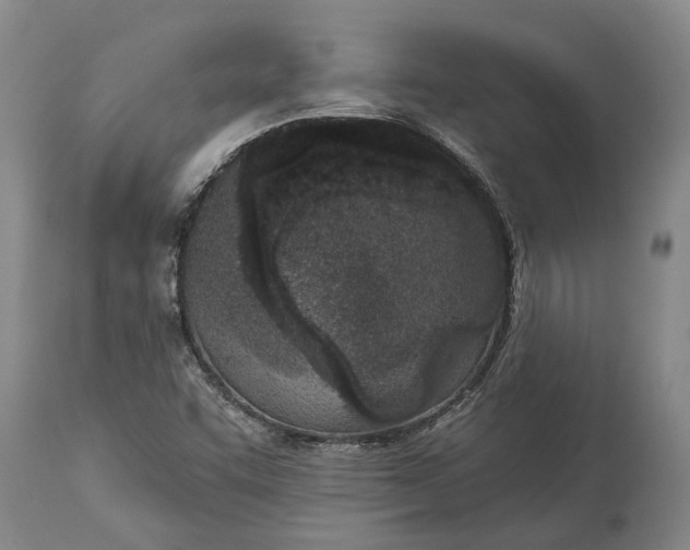X0000113631455200910021841