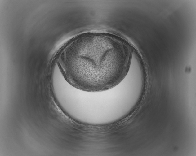 X0000113631456200910021841