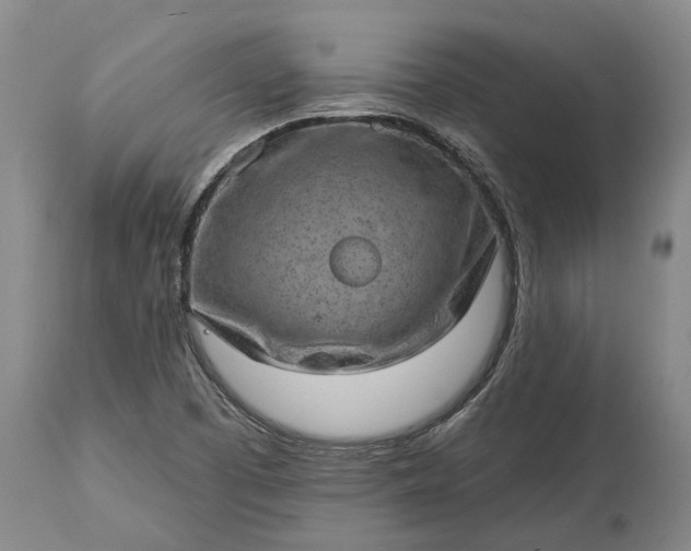 X0000113631457200910021841