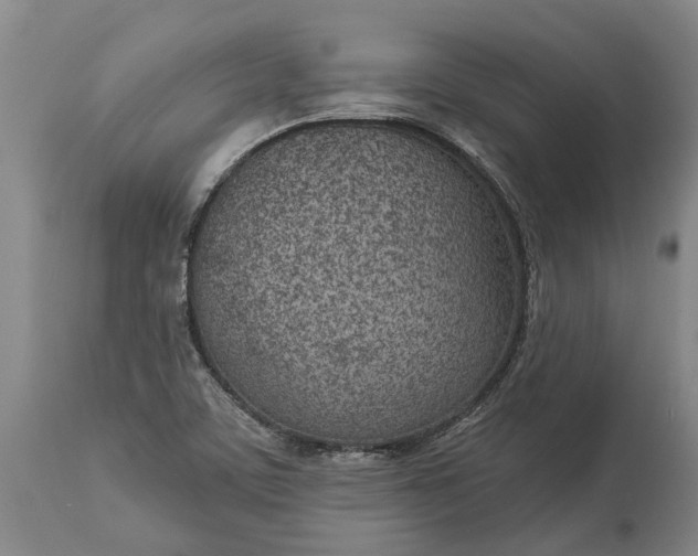 X0000113631459200910021841
