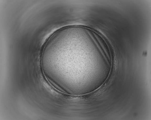 X0000113631460200910021841