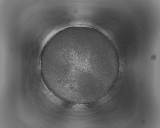 X0000113631462200910021841