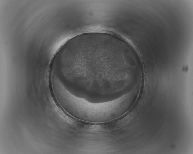 X0000113631463200910021840