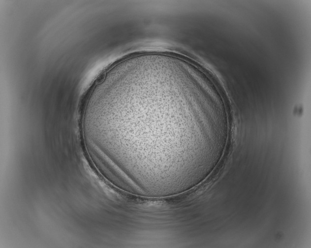 X0000113631464200910021840