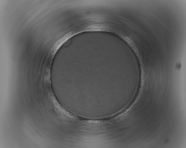 X0000113631465200910021840