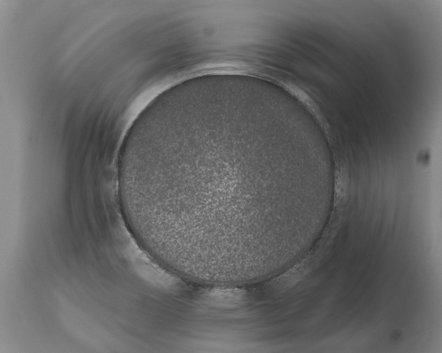 X0000113631466200910021840