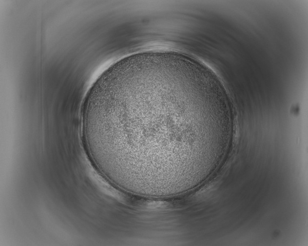 X0000113631467200910021840