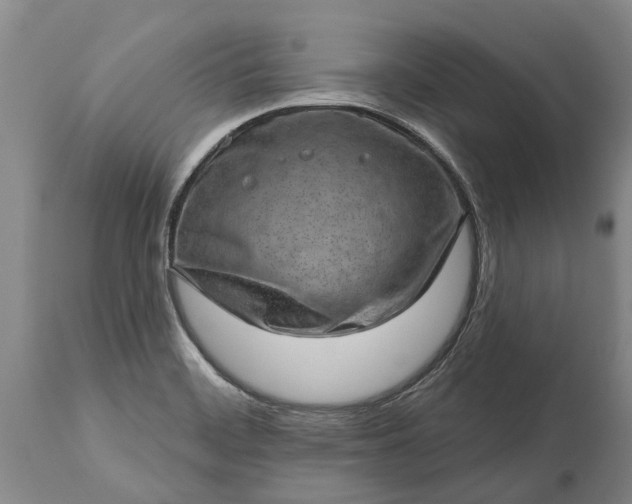 X0000113631468200910021840