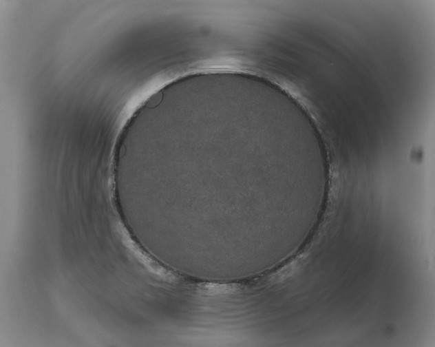 X0000113631469200910021840