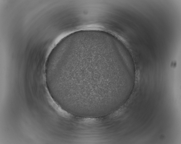 X0000113631470200910021840
