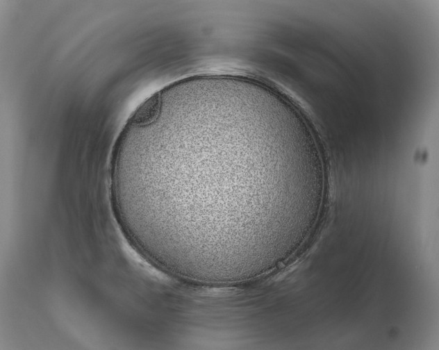 X0000113631471200910021840