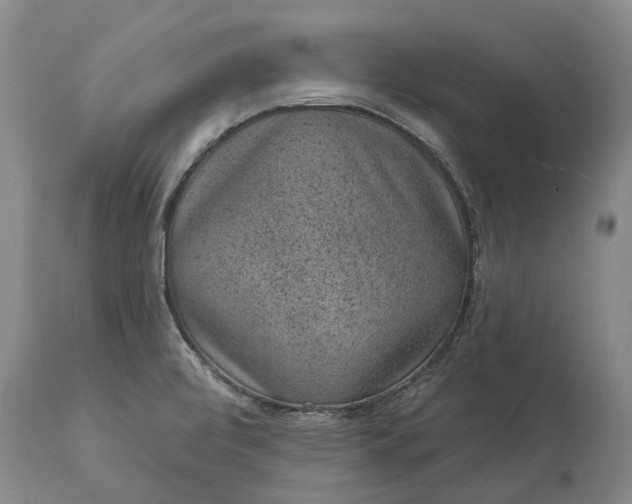 X0000113631472200910021840