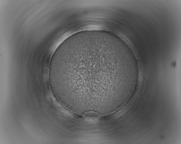 X0000113631473200910021840