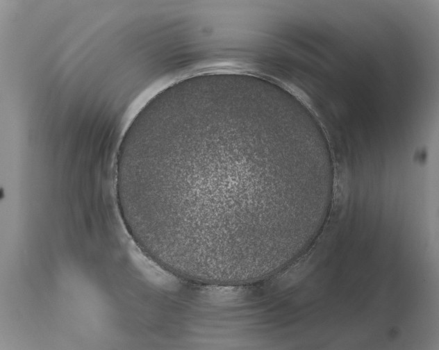 X0000113631474200910021840