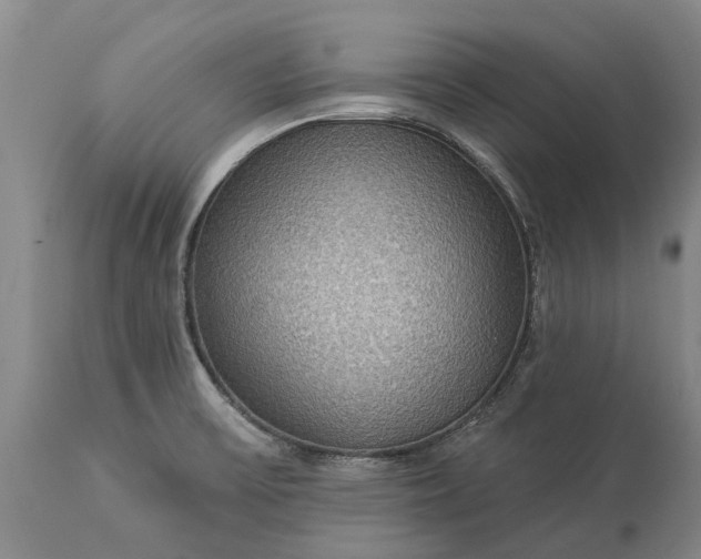 X0000113631475200910021840