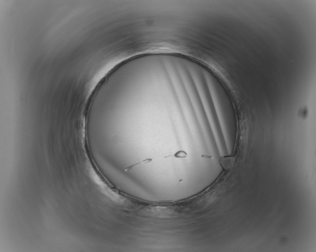 X0000113631476200910021840