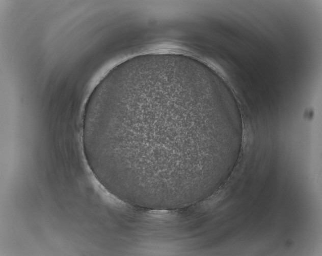 X0000113631478200910021840