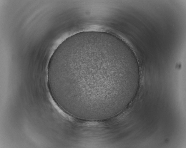 X0000113631479200910021840