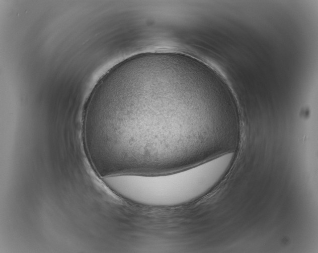 X0000113631480200910021840